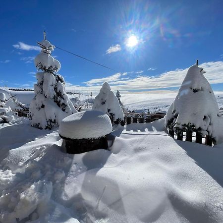 Villa 80 Kodra E Diellit Tetovo Exteriör bild