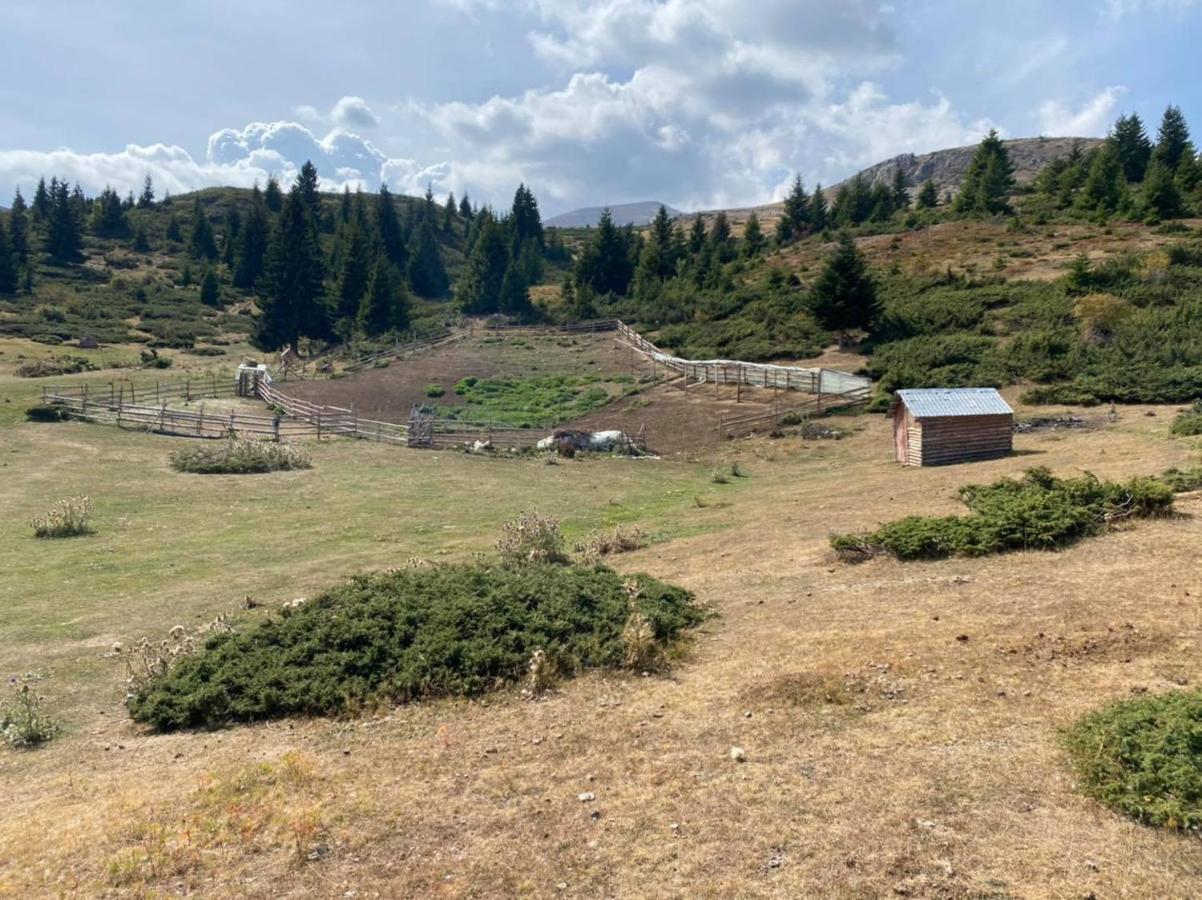 Villa 80 Kodra E Diellit Tetovo Exteriör bild
