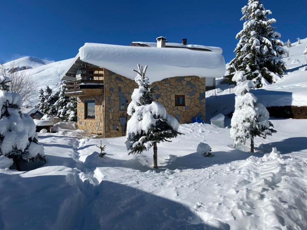 Villa 80 Kodra E Diellit Tetovo Exteriör bild