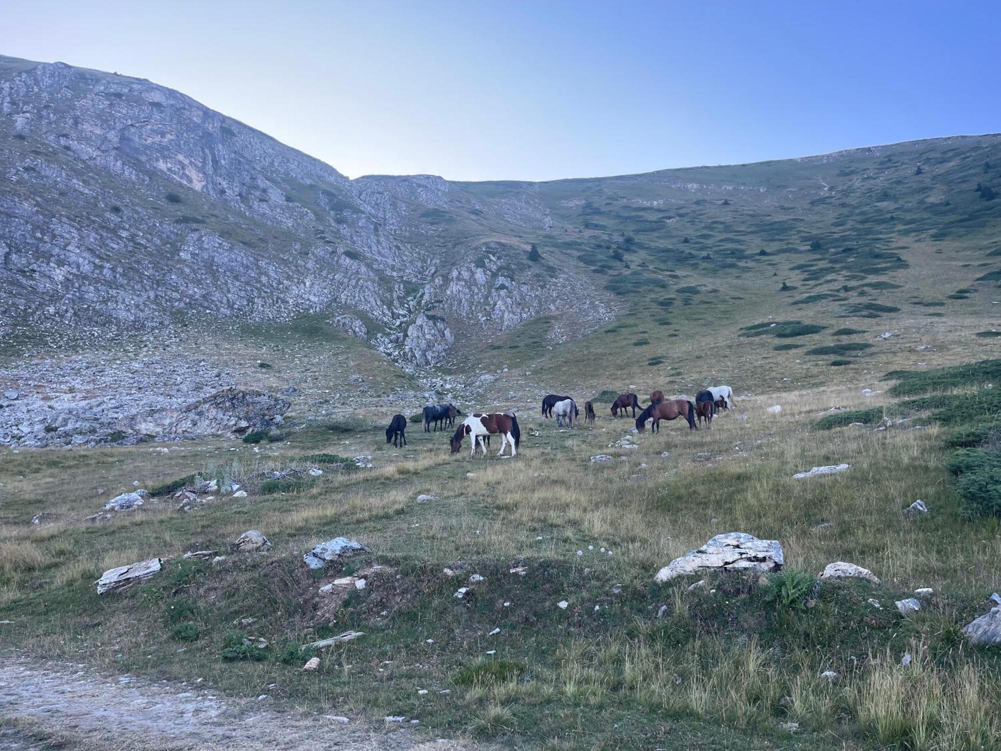 Villa 80 Kodra E Diellit Tetovo Exteriör bild