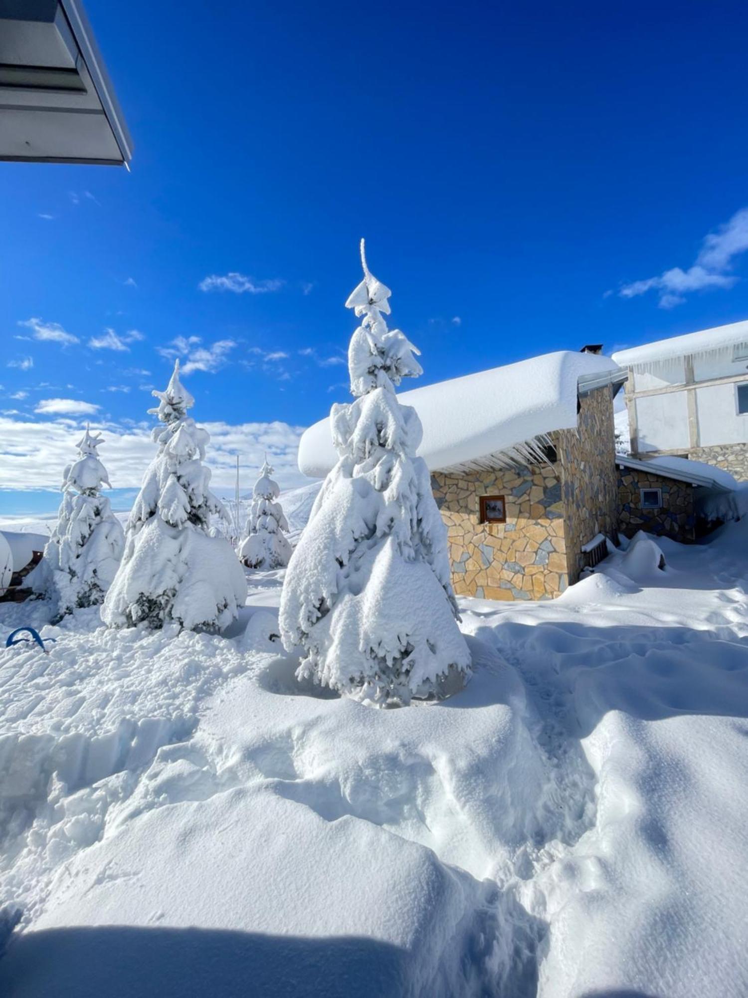 Villa 80 Kodra E Diellit Tetovo Exteriör bild